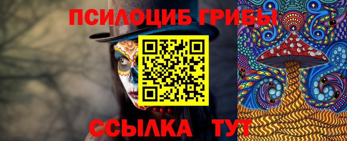 Псилоцибиновые грибы Magic Shrooms Богородицк