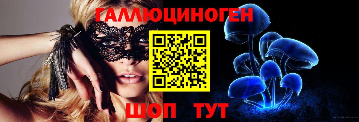 наркошоп  Вход с VPN  Богородицк  Галлюциногенные грибы Psilocybine cubensis 